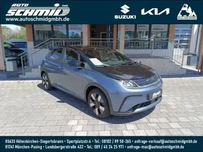 Gebraucht BYD Dolphin Comfort 150 kW (204 PS) 2024 Grau Kleinwagen