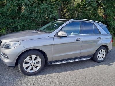 Mercedes ML250