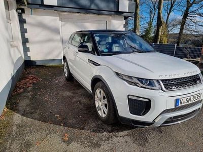 Gebraucht Land Rover Range Rover evoque SE Dynamic 150 PS (110 kW) 2017 Weiß SUV