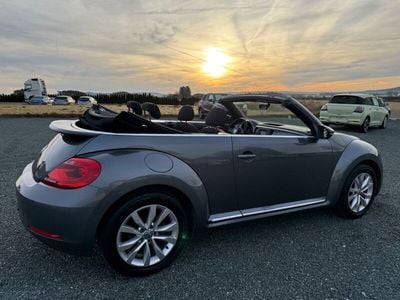 VW Beetle