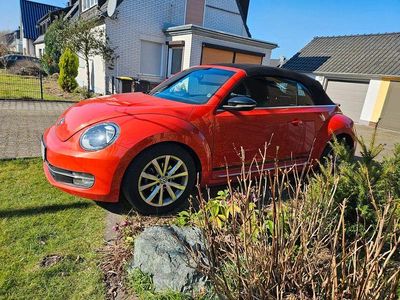 Gebraucht VW Beetle Design 105 PS (77 kW) 2015 Orange Kleinwagen