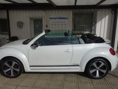 VW Beetle