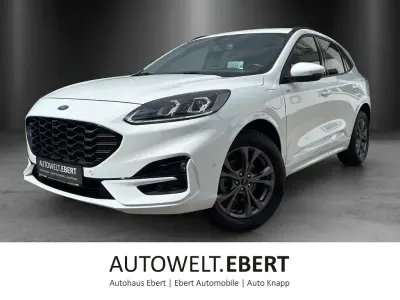 Gebraucht Ford Kuga ST-Line 224 PS (164 kW) 2021 Weiß SUV