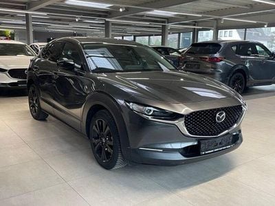 Gebraucht Mazda CX-30 Homura-Line 150 PS (110 kW) 2023 Machine grey (metallic) SUV