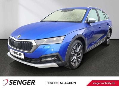 Gebraucht Skoda Octavia Scout 4x4 200 PS (147 kW) 2023 Raceblau metallic Kombi