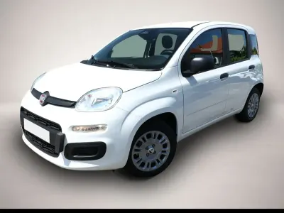 Neu Fiat Panda Pop 65 PS (47 kW) 2026 Weiß Kleinwagen