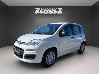 Neu Fiat Panda Pop 65 PS (47 kW) 2026 Positano gelb Kleinwagen