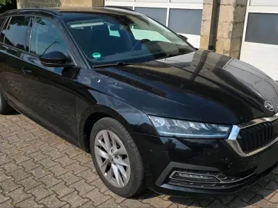 Gebraucht Skoda Octavia