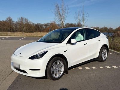 Gebraucht Tesla Model Y Standard Range 219 kW (299 PS) 2023 Weiß SUV