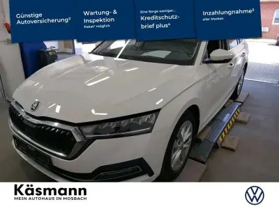 Gebraucht Skoda Octavia Style 116 PS (85 kW) 2024 Weiß Kombi