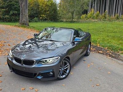 Usata BMW 220 M Sport 184 CV (135 kW) 2015 Argento Cabrio