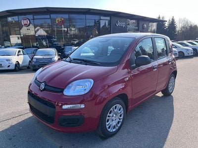 Neu Fiat Panda 65 PS (47 kW) 2026 Rot Kleinwagen