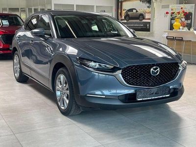 Gebraucht Mazda CX-30 Exclusive-Line 122 PS (89 kW) 2024 Grau SUV