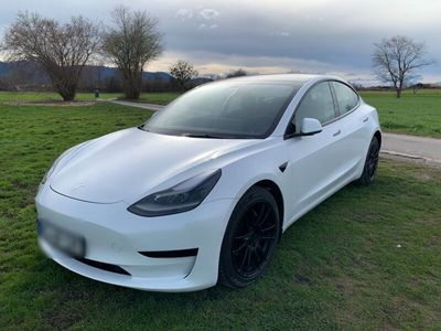 gebraucht Tesla Model 3 Standard Plus, AHK, großer Akku 60kWh