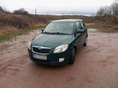 gebraucht Skoda Fabia Green Line