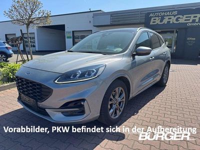 Usata Ford Kuga ST-Line X 150 CV (110 kW) 2023 Argento SUV