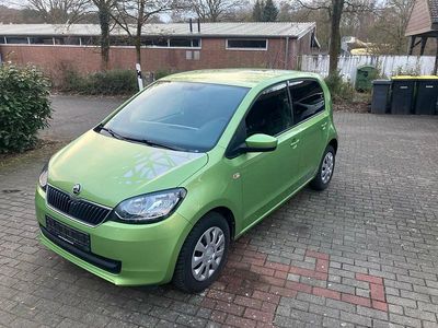 Gebraucht Skoda Citigo 60 PS (44 kW) 2017 Grün Kleinwagen