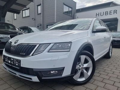 Gebraucht Skoda Octavia Scout Scout 4x4 184 PS (135 kW) 2020 Weiß Kombi