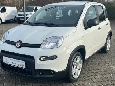 Usata Fiat Panda 70 CV (51 kW) 2024 Bianco Utilitaria