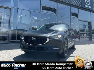 Neu Mazda CX-30 Homura-Line 186 PS (136 kW) 2026 Weiß SUV