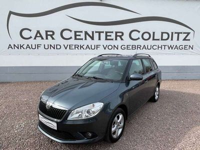 gebraucht Skoda Fabia FabiaAmbiente 1.2 TSi*KlimaAut*SHZ*MFL*Alu*