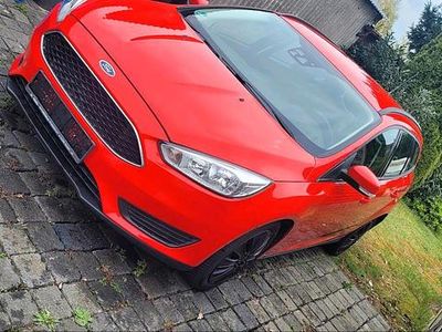 Usata Ford Focus 125 CV (91 kW) 2016 Rosso Station wagon