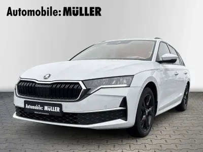 Gebraucht Skoda Octavia Selection 150 PS (110 kW) 2024 Moonweiss metallic Kombi