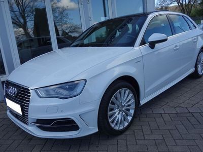 gebraucht Audi A3 Sportback e-tron ambiente Panor LED Teilleder