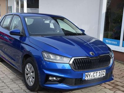 Gebraucht Skoda Fabia Ambition 80 PS (58 kW) 2021 Raceblaumetallic Kleinwagen