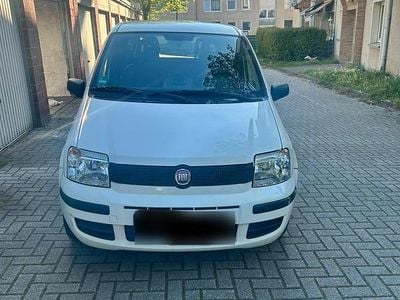 Second-hand Fiat Panda 60 CP (44 kW) 2008 Alb Hatchback