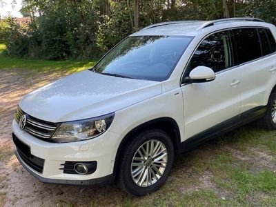 gebraucht VW Tiguan 1.4 TSI 90 BlueMot Tec CUP Sport & St...