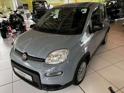 gebraucht Fiat Panda 1.0 GSE Hybrid