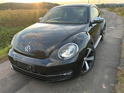 VW Beetle