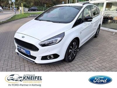 Usata Ford S-MAX ST-Line 190 CV (139 kW) 2019 Bianco Monovolume
