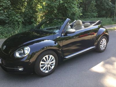VW Beetle