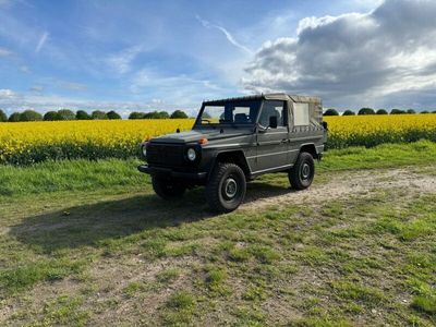 gebraucht Mercedes G250 Wolf