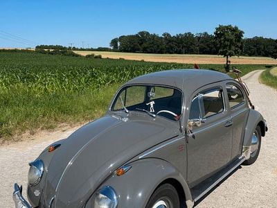Gebraucht VW Käfer 34 PS (25 kW) 1963 Grau