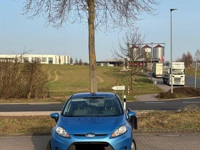 Gebraucht Ford Fiesta 82 PS (60 kW) 2009 Blau Kleinwagen