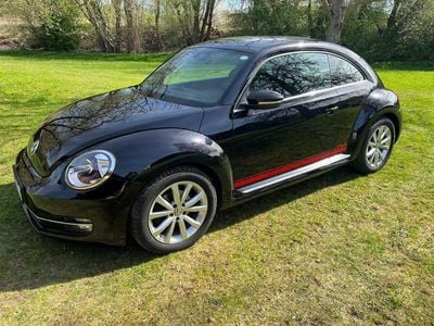 VW Beetle