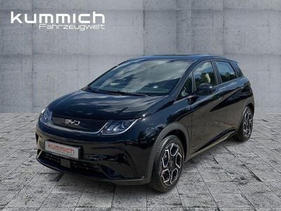 Neu BYD Dolphin Comfort 150 kW (204 PS) 2025 Schwarz Kleinwagen