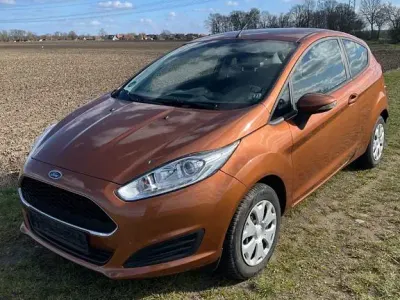 Usata Ford Fiesta Trend 60 CV (44 kW) 2016 Marrone Utilitaria