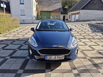 Usata Ford Fiesta Trend 86 CV (63 kW) 2018 Utilitaria
