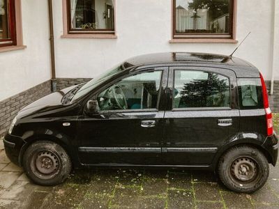 gebraucht Fiat Panda 2009 in Swisttal-Morenhoven abgemeldet