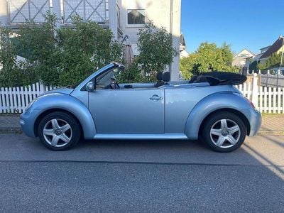 VW Beetle