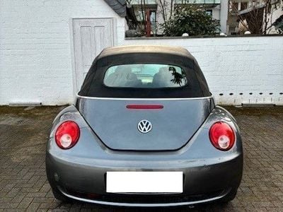 VW Beetle
