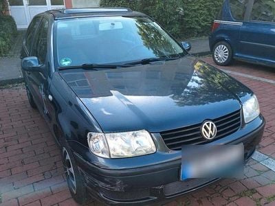 VW Polo