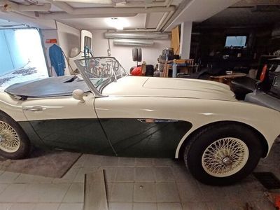 gebraucht Austin Healey 3000 MK I BN7 (nut and bolt restauriert)