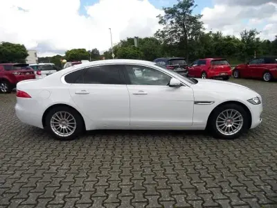 Gebraucht Jaguar XF Pure 180 PS (132 kW) 2019 Weiß Limousine