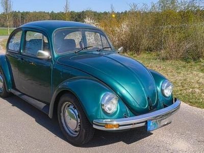 VW Käfer