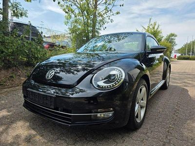 VW Beetle